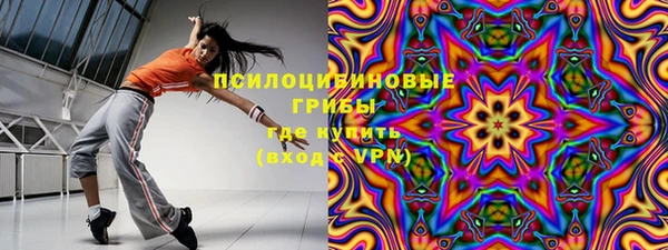 гидра Красноперекопск