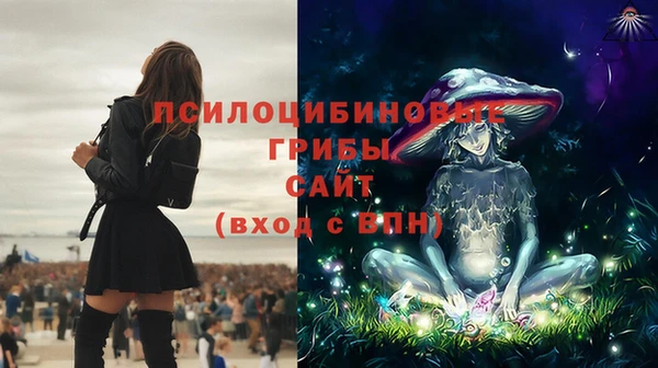 спиды Корсаков