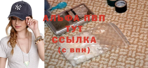 спиды Корсаков