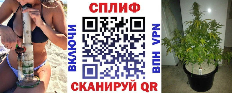 Купить где  Ковдор  Марихуана гибрид 